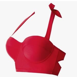 Cherry Cat Red Retro Push Up Underwire Halter Bikini Top, L